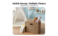 Woven Container with Handles Decorative Design Shelf Basket Sturdy Frame