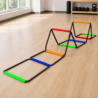 agility ladder