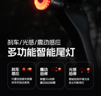 洛克兄弟山地公路自行车夜骑尾灯刹车感应儿童照明灯骑行装备配件