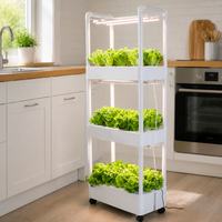 Hydroponic plant growing system, 3-layer, with water circulation, floor-standing, white