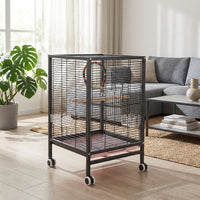 Flat Top Bird Cage for Budgies and Conures, 2-Tier Parrot Habitat with Multiple Doors, Indoor Outdoor Cockatiel and Finch Set with Accessories