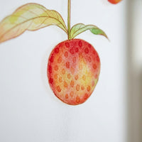 Window Film Privacy with Frosted Window Film for Home Office, Fruit and Animals Window Frosting Film for Living Room, Opaque PVC Material
