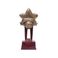 Star Trophy Decorative Award Trophy Display Ready Ornament for Students, Athletes