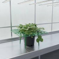 Strawberry Growing Rack Prevents Strawberry Plant Support Keeps Berries Clean Fruit Support Stand for Gardeners, Outdoor, Garden, Vegetable Plot