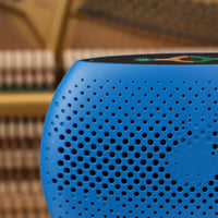 Anti Damp Quiet Piano Dehumidifier Tube Piano Dehumidifier for Storage Room