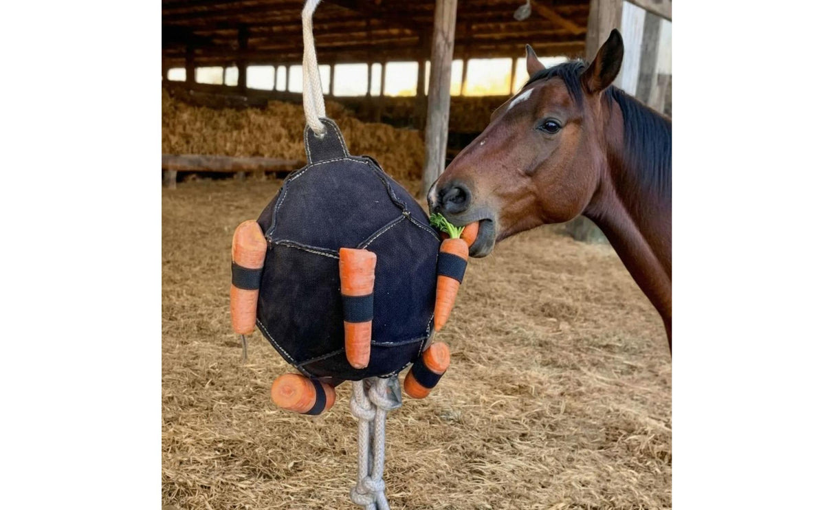 Encourages Natural Foraging Hanging Carrot Feeder Long-Lasting Horse Slow Feeder Toy Reduces Stress Horse Treat Ball for Horses, Ponies, Paddock