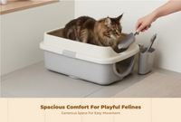 Cat Litter Box, Odor Control, Large, Open Top, Indoor