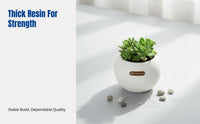 Self-Watering Planter, Thickened Resin, Round Matte Desktop Pot, Hydroponic or Soil, Minimalist Home Garden Design