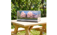 Miniature Display Base with Acrylic 1/64 Model Car Display Case Transparent for Collectors, Shelves, Desks
