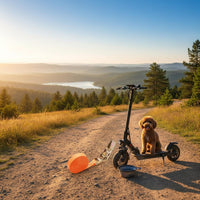 Secure Installation Electric Scooter Dog Seat Long-Lasting Metal Construction Small Dog Scooter Carrier Multi-Purpose for Outdoor, Commuting, Shopping