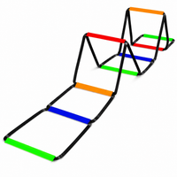 agility ladder