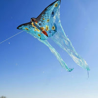 Long Tail Kite Beginner Friendly Vibrant Colors for Family Outings
