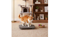 Easy to Clean Cat Litter Trapping Mat Waterproof Double Layer Litter Mat Non-Slip Feet Pet Supply