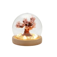Night Light with Dome Cover Warm LED Glowing Miniature Landscape Decorative Tree Light Ambient Lamp Safe for Bedside Table, Desk