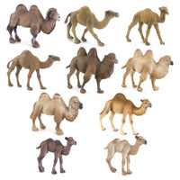 10 Pieces Camel Figurine Mini Figurine Collectible Miniature for Hobbyists, Collectors, Dioramas