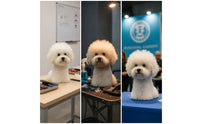 Pet Grooming Practice Head Smooth Dog Mannequin Head Customizable for Salons
