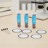 300 Pieces Pins with Tubes Assorted Sizes Stainless Steel Pins Reusable for Hobbyists, Students, Entomology Labs