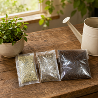 terrarium kit