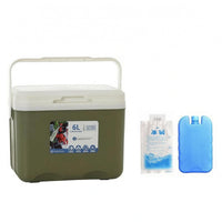6 L Insulated Cooler Box Removable Lid Portable Cooler Box Carry Handle Portable Ice Chest Rectangular for Camping, Picnic, Travel, Car Use