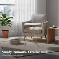 Nordic design Scalloped spine Armchair Gold-Tone Frame Accent Chair plush fabric Upholstery Single Sofa Ergonomic Comfort for Business Owners, Interior Designers, Living Room, Boutique, Bedroom, perusing corner