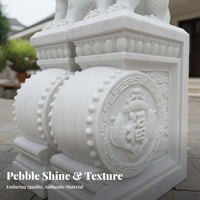 2 Pieces Traditional Marble Door Pier Auspicious Symbol Chinese Door Drum Statue Finely Detailed Carved Stone Gate Protector for Villa Owners