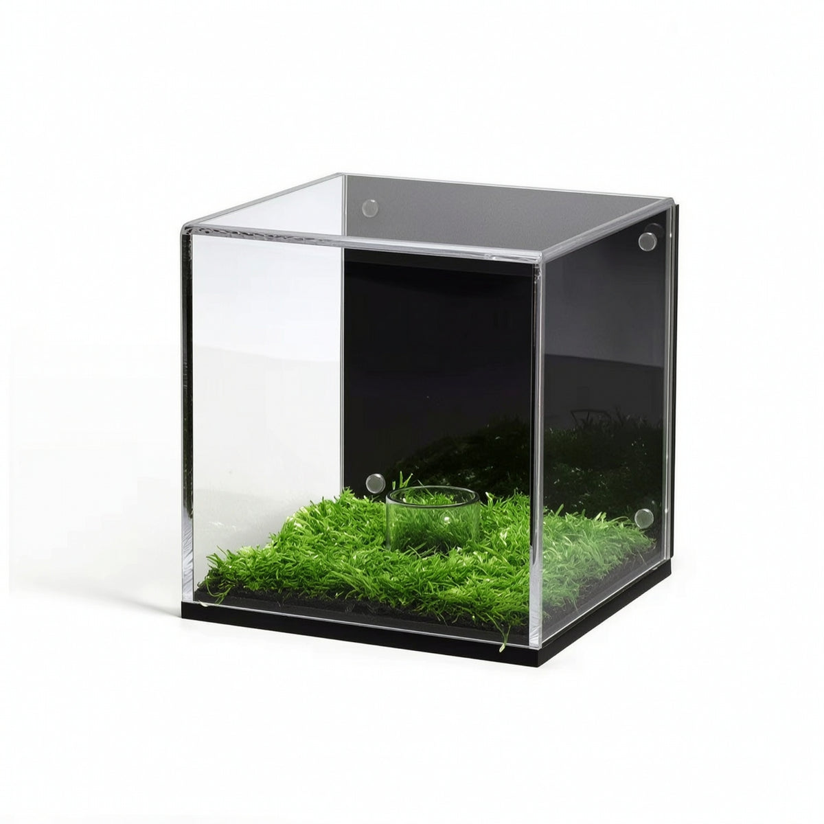 Transparent Acrylic Display Cube with Grass Base Dust-Resistant Display Box with Panel Lightweight Showcase Modern for Hobbyists