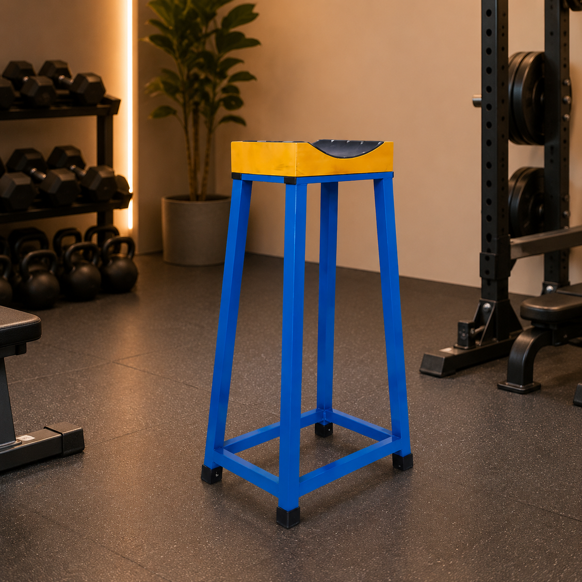 squat stands