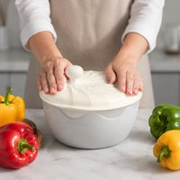 Manual Salad Spinner, Kitchen Helper for Washing and Drying Salad, Large Capacity 24.3x22.3x20cm, White