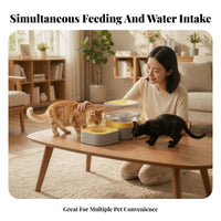 Transparent Cat Drinking Fountain Two-Tone Cat Water Fountain Rounded Perforated for Cats, Small Pets