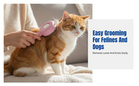 Pet Grooming Brush, Pet Hair Comb, Detangling, Hair Removal, Massage, Home Care