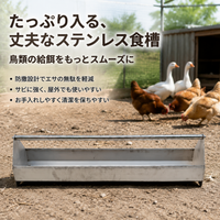 poultry feeder