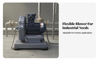 Hazard-Resistant-Resistant Blower Pure Copper Coil Motor Medium Pressure Air Blower Cast Aluminum Industrial Fan for Factory Workers