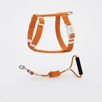 Kitten Harness and Cat Leash Set, Polyester Travel Harness with Buckle, 150cm Kitten Leash for Outdoor Cat Pet Walking