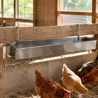 Chicken Feeder, Stainless Steel, 9×6cm, Hanging Type, Pest Control, Feeder, Poultry Farming Supplies