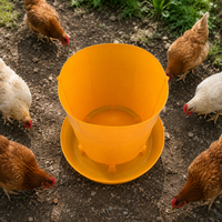 poultry feeder