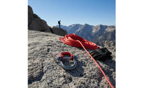 D-Shaped Carabiner Multi Functional D Shaped Carabiner Portable Gear Connector for Camping