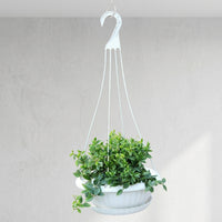 Plant Pots and Hanging Basket for Indoor Plants, 5 Pack of Outdoor Plants Hanging Plant Hanger, Wall Planter with Tray Drainage, Rope Style
