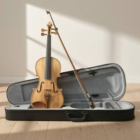 Violin with Hard Case Wooden Violin with Case Black Student for Beginners, Practice, Lessons