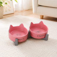 Elevated Ceramic Dog Bowls with Stand, Double Cat Bowls for Neck Strain, Spill-resistant Pet Feeding Station for Digestive Issues