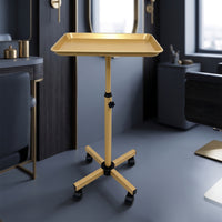 Salon Tray Cart Space Saving Service Cart Stable Trolley for Hair Stylists, Nail Technicians, Beauty Parlors