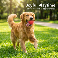 Rubber Dog Toy for Aggressive Chewers, Solid Core Training Ball, Highly Elastic Dog Ball, Interactive Rope Dog Toy, Dog Training Ball for Medium Dogs