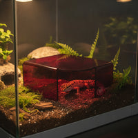 Translucent Reptile Hiding Shelter Acrylic Terrarium Visual Hide Smooth Hideout Sturdy for Gecko