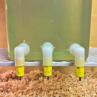 Integrated Pet Feeder and Waterer, Pet Feeder for Multiple Pets, Suitable for Long Trips & Travel, Automatic Feeder