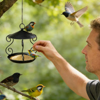 Wrought avian Feeder Weatherproof Hanging birds Feeder Weather Resistant Hanging Tray for Nature Lovers, Balcony, Patio, Backyard