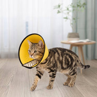 Post Surgery Cone for Pet Recovery, Transparent Anti-Mouth Guard with Padded Edge, Snap Button Recovery Cone for Dogs and Cats After Surgery