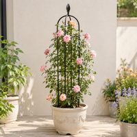 U-shaped Metal Trellis, 30cm, Black Trellis with Flower Top, Freestanding Plant Support, Rose Arch for Climbing Roses & Clematis