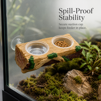 Reptile Chameleon Gecko Natural Landscape Anti-mold Chew-resistant Detachable Feeding Wood Stump with Double Bowls