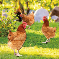 3 Pieces Chicken Garden Stake Weatherproof Acrylic Chicken Stake Decorations Waterproof Farmhouse for Gardeners, Lawn