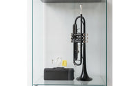 B♭ Trumpets Beginner-Friendly Trumpets with Hard Case Student Brass Instrument for Beginners, Students, Practice