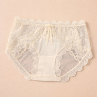 Underwear Women with Lining and Extended Coverage, Knickers with Mesh Lace Overlay, Breathable Panties for Everyday Wear